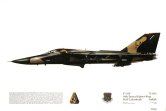 N0 102, F-111F, 48 TFW, USAF